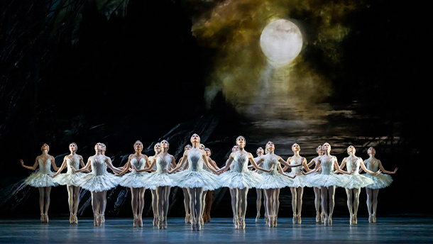 RBO: Swan Lake