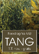 Foredrag: Tang