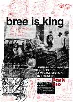 bree is king a visual mixtape