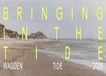 BRINGING IN THE TIDE